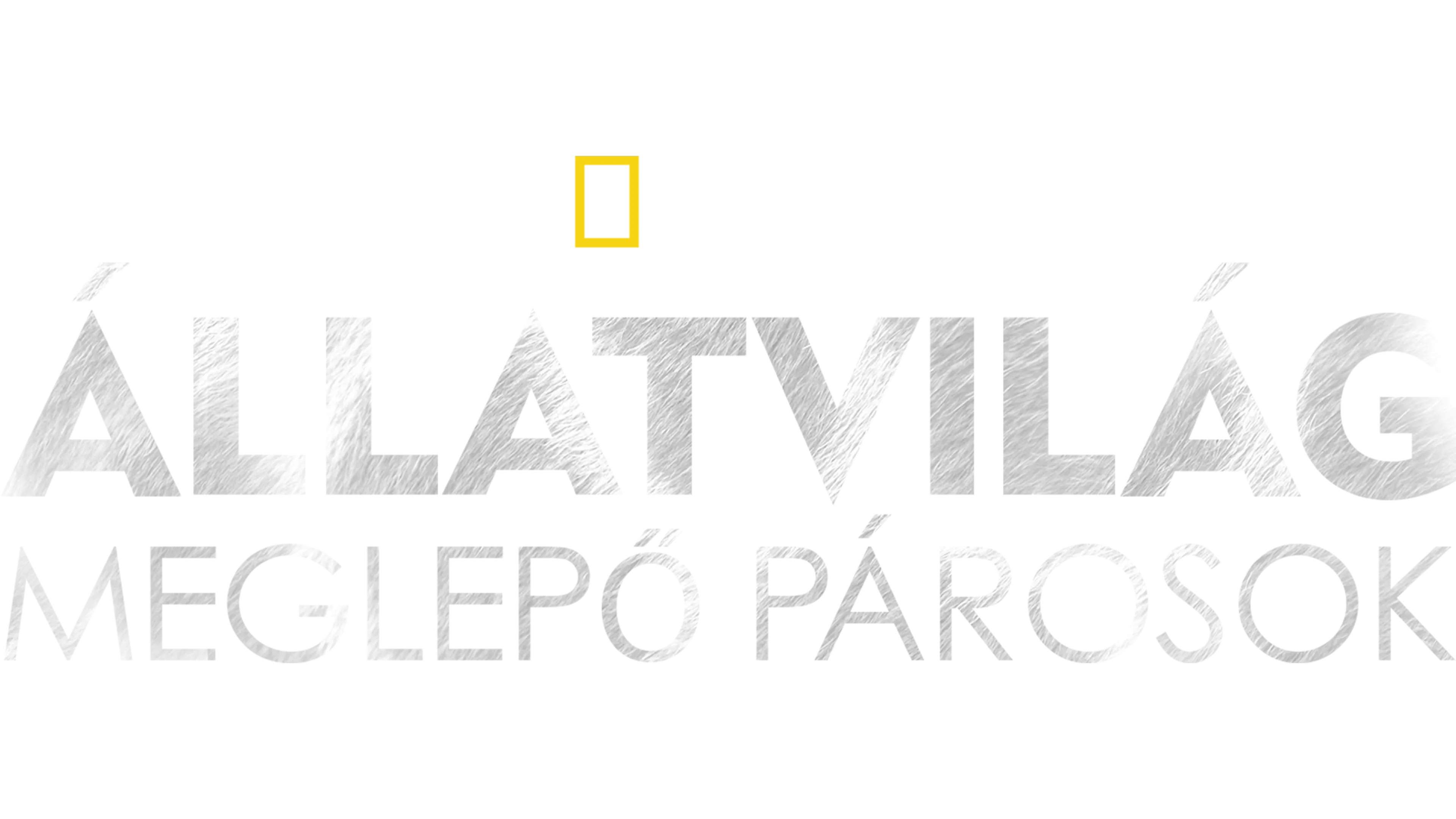 Állatvilág: meglepő párosok