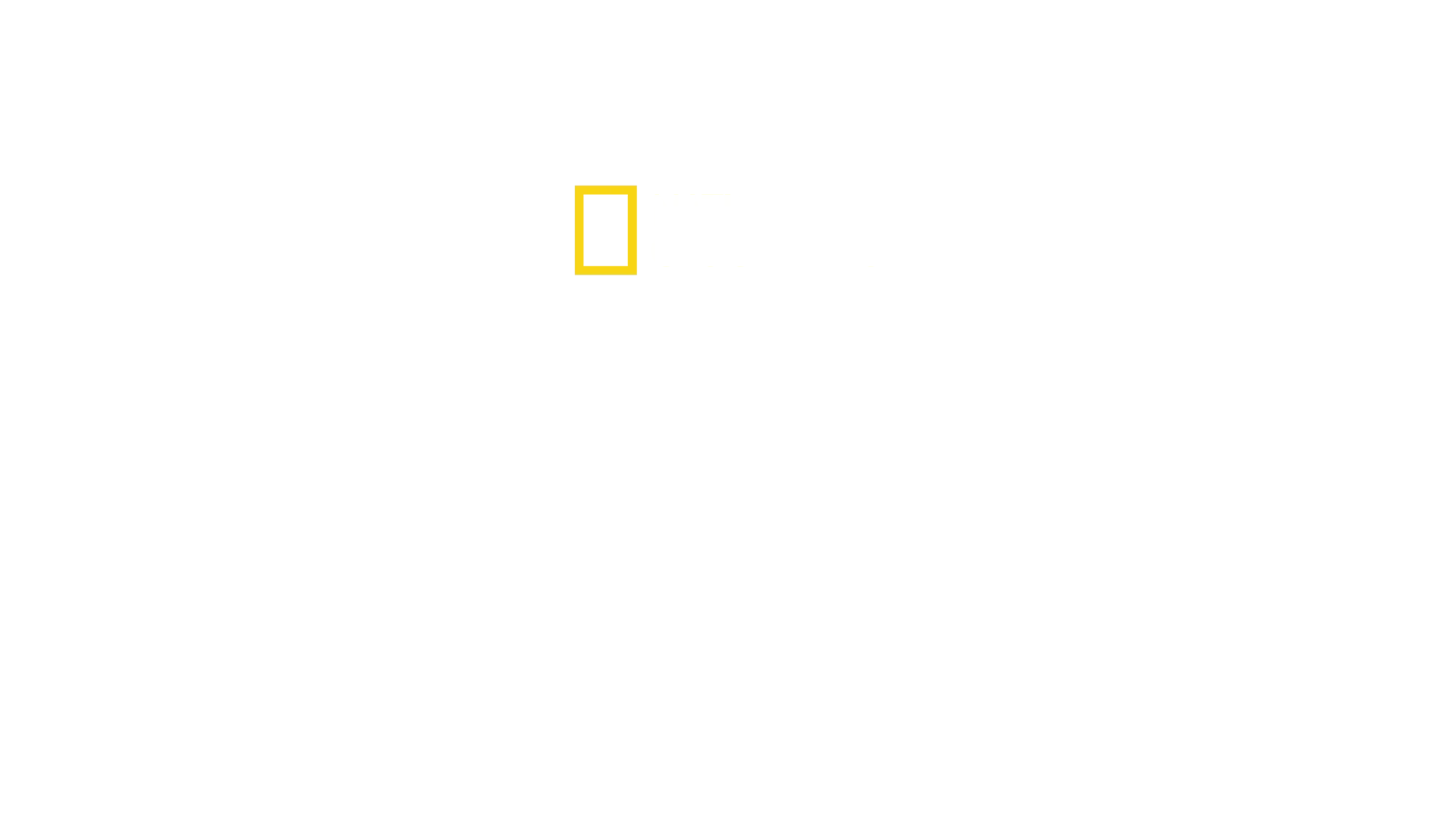 Sorcières : au coeur des procès