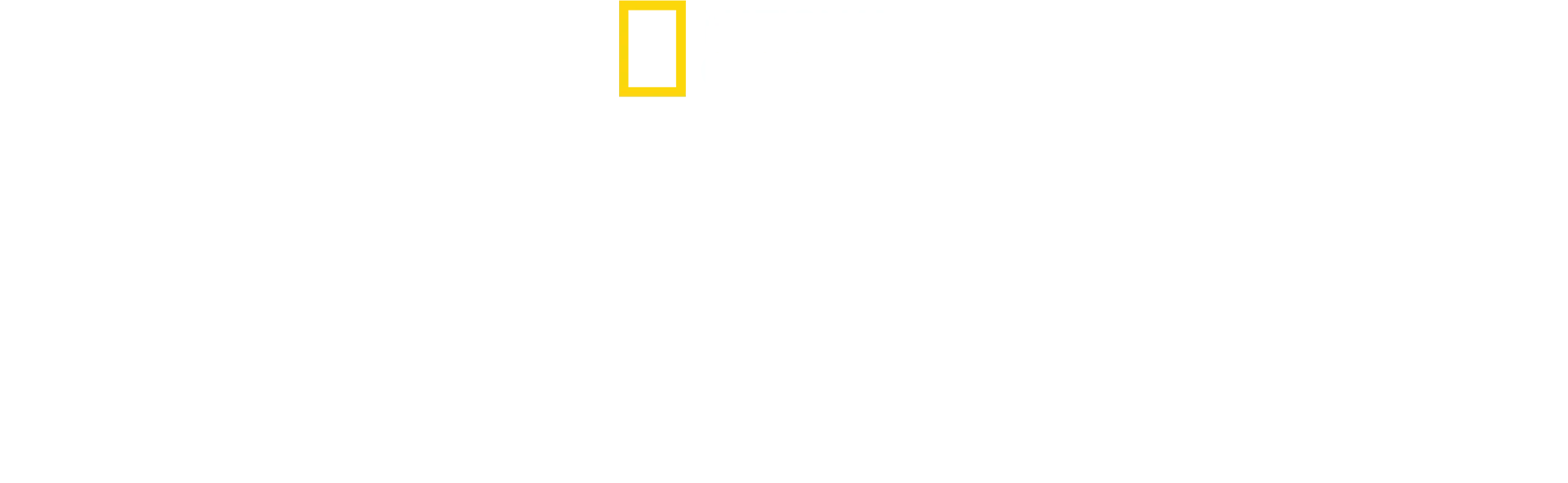 Sorcières : au coeur des procès