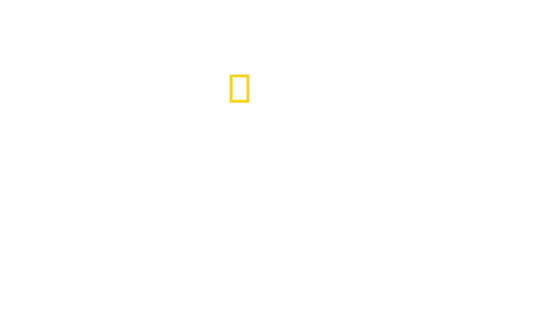 Les Ailes De Patagonie