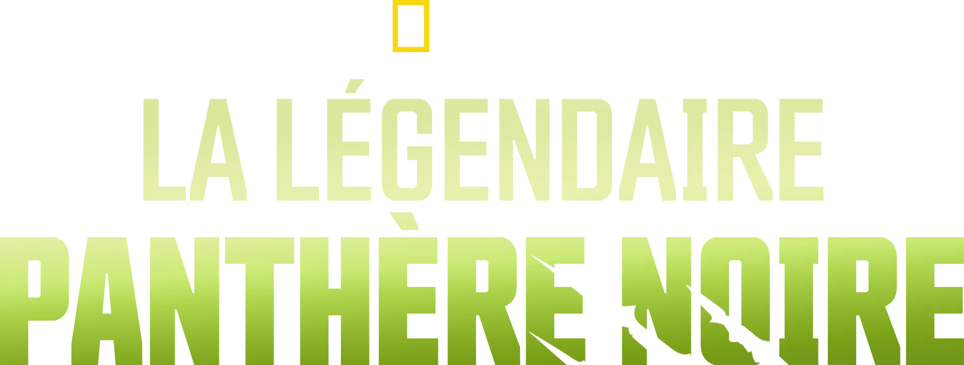 La légendaire panthère noire