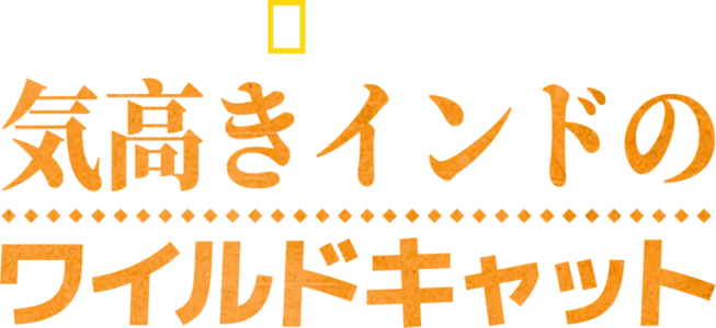 気高きインドのワイルドキャット