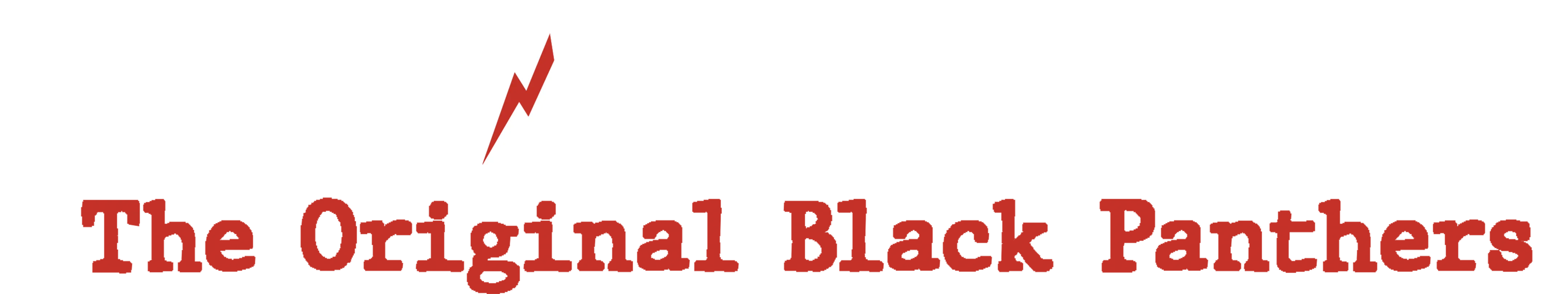 761st Tank Battalion: The Original Black Panthers