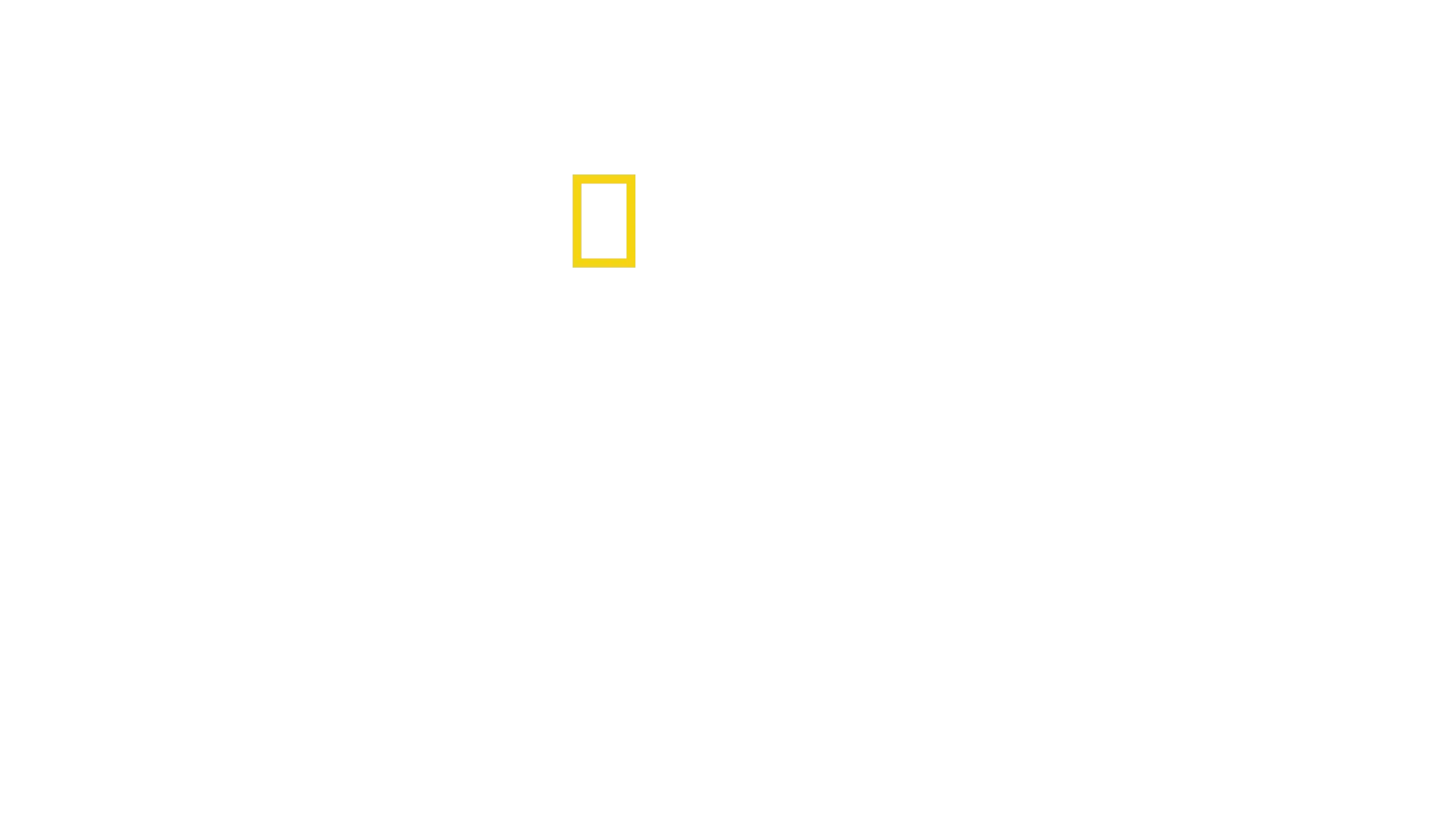 Fabricanții de steaguri