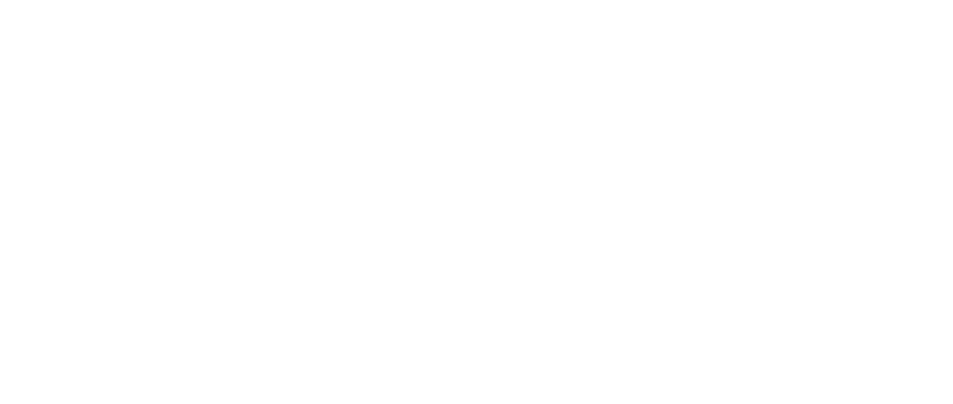 The Cleaner