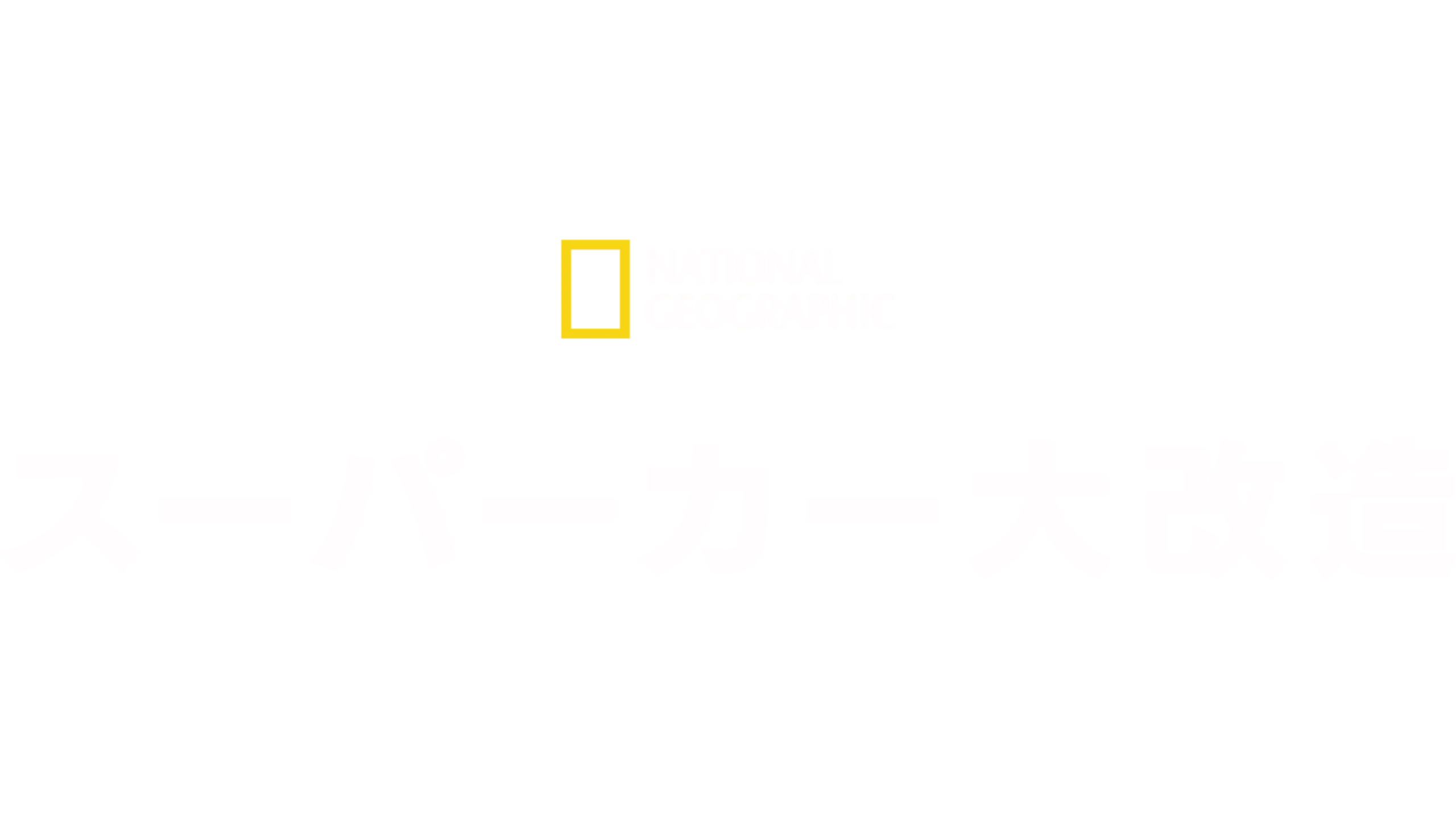 スーパーカー大改造
