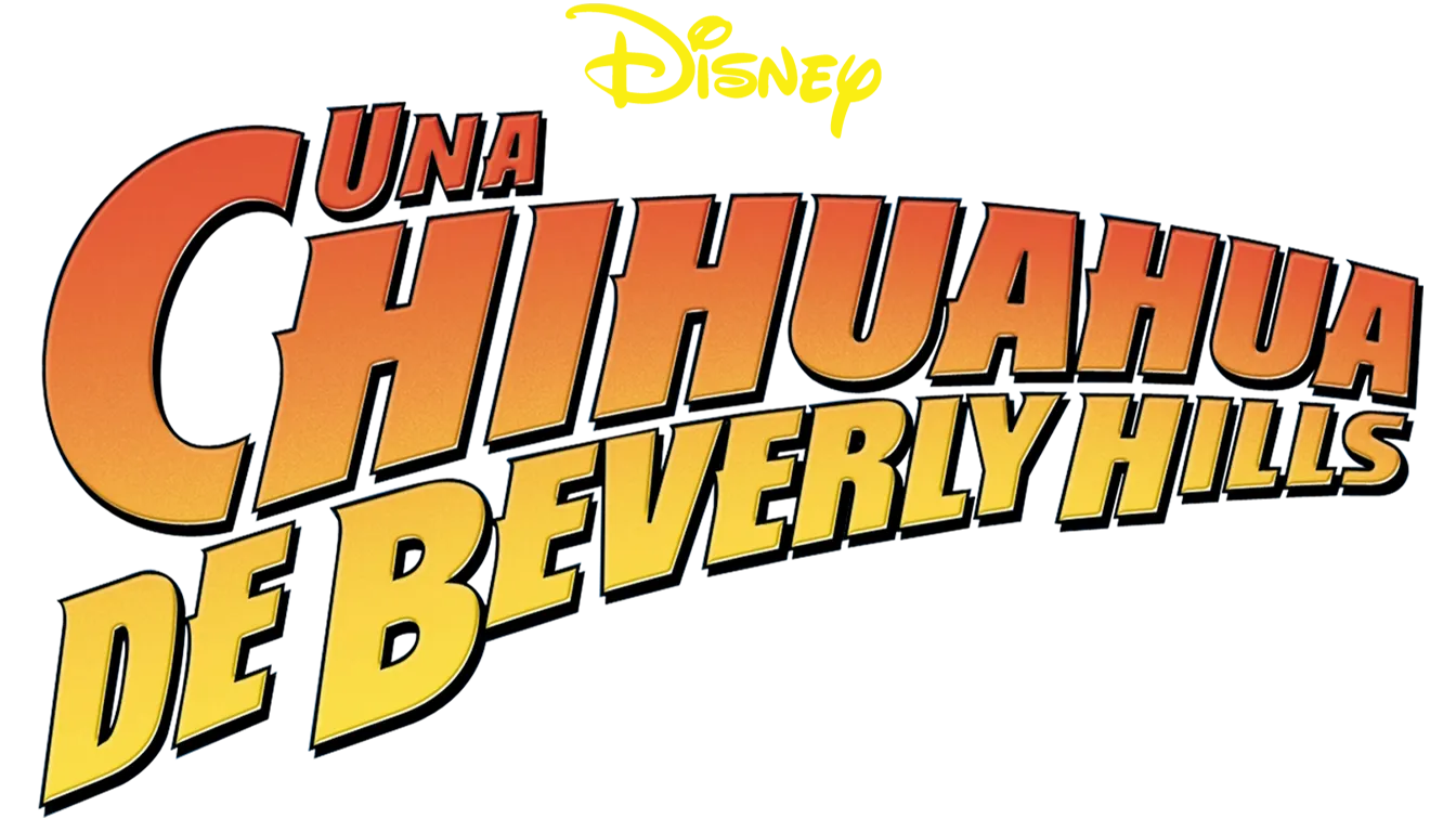 Una chihuahua de Beverly Hills