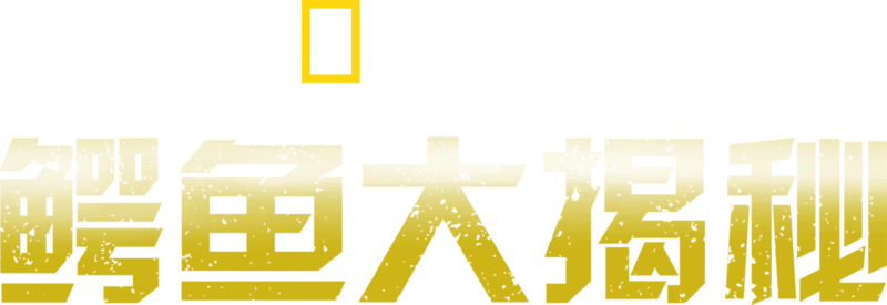鳄鱼大揭秘