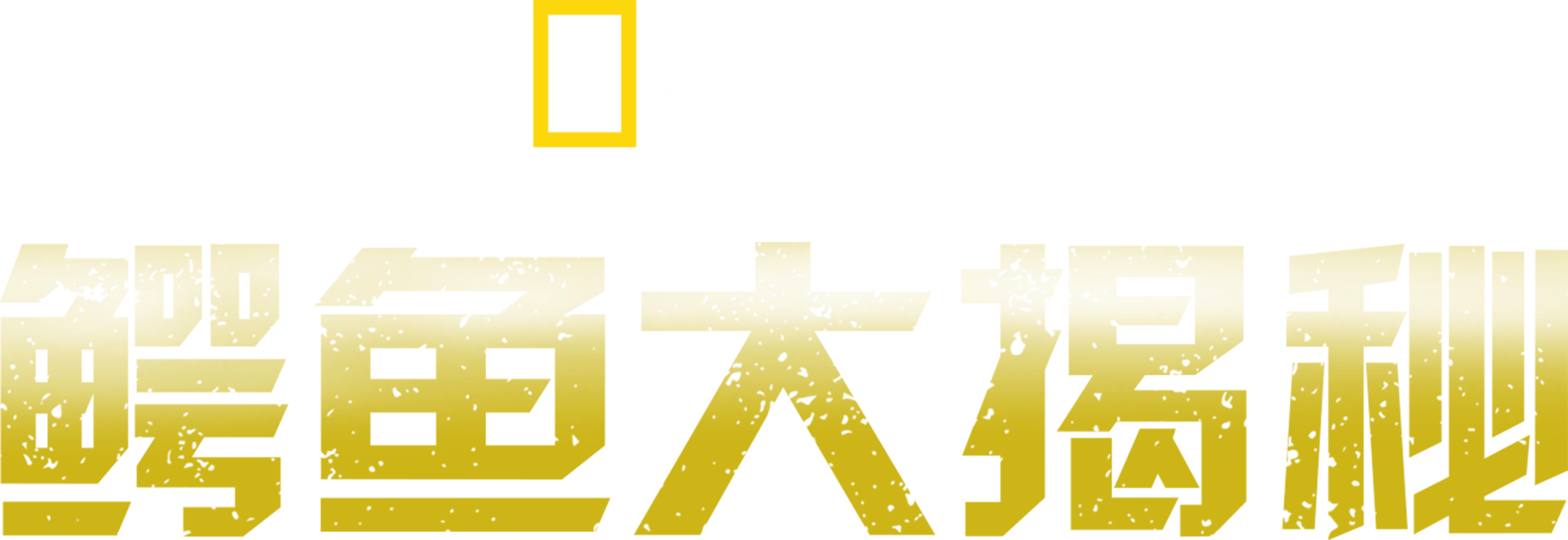 鳄鱼大揭秘