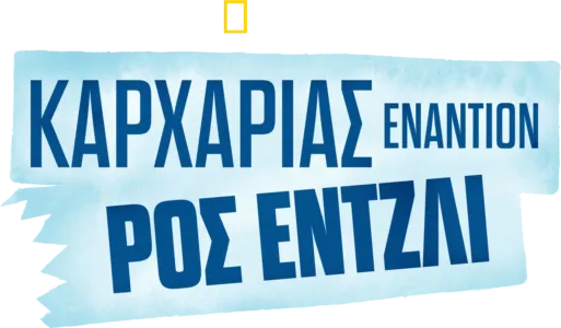 Καρχαρίας Εναντίον Ρος Έντζλι