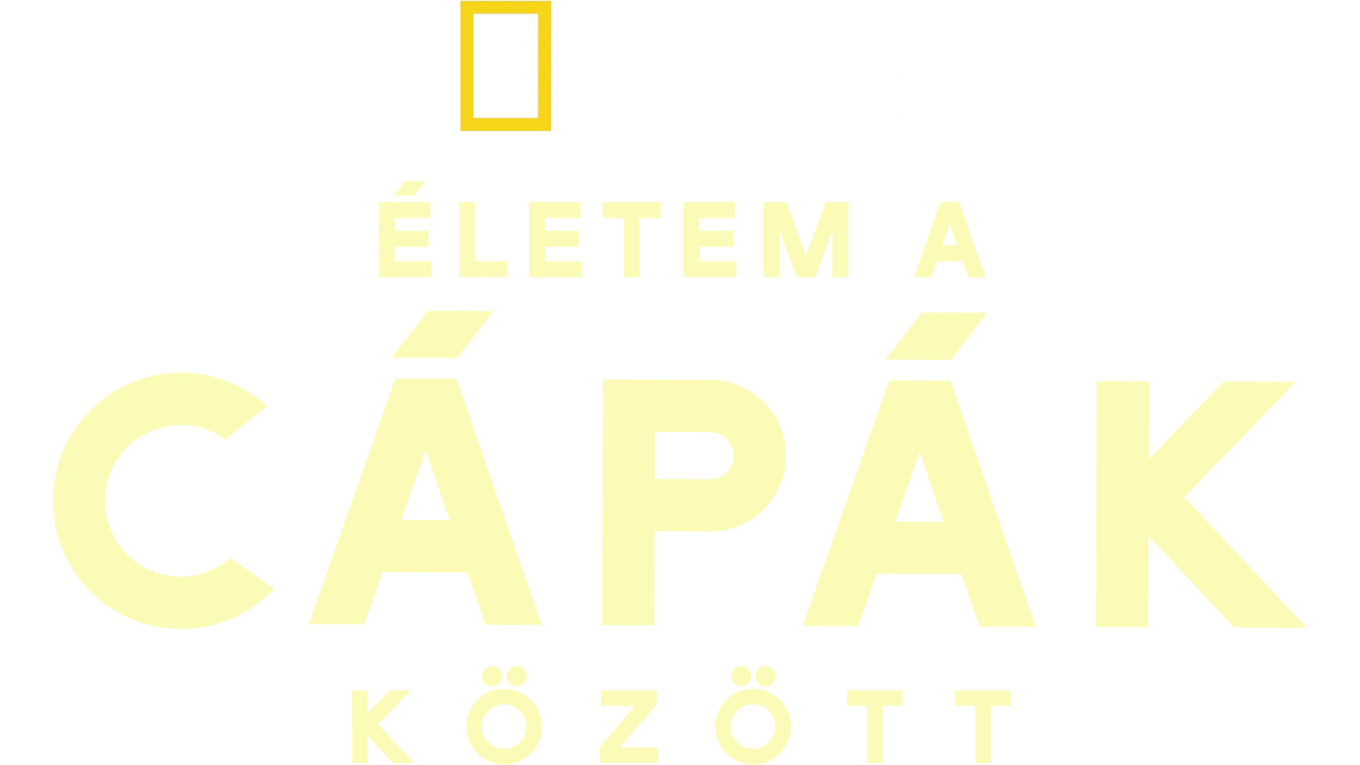 Életem a cápák között