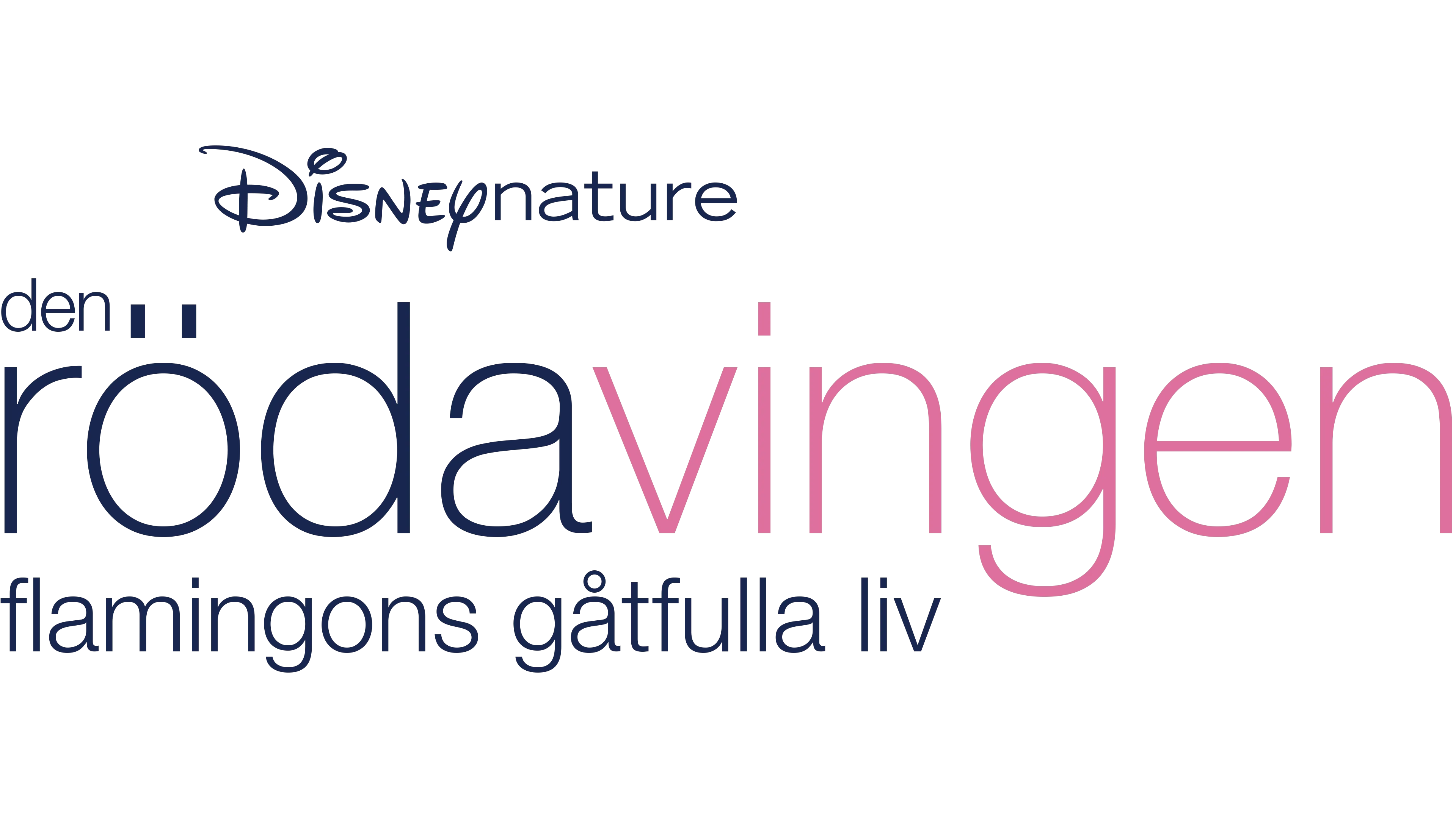 Den röda vingen: Flamingons gåtfulla liv