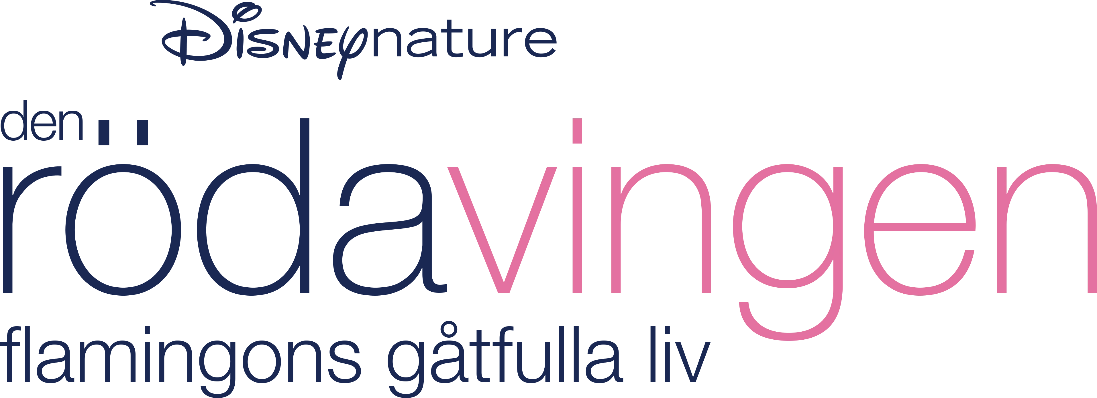 Den röda vingen: Flamingons gåtfulla liv
