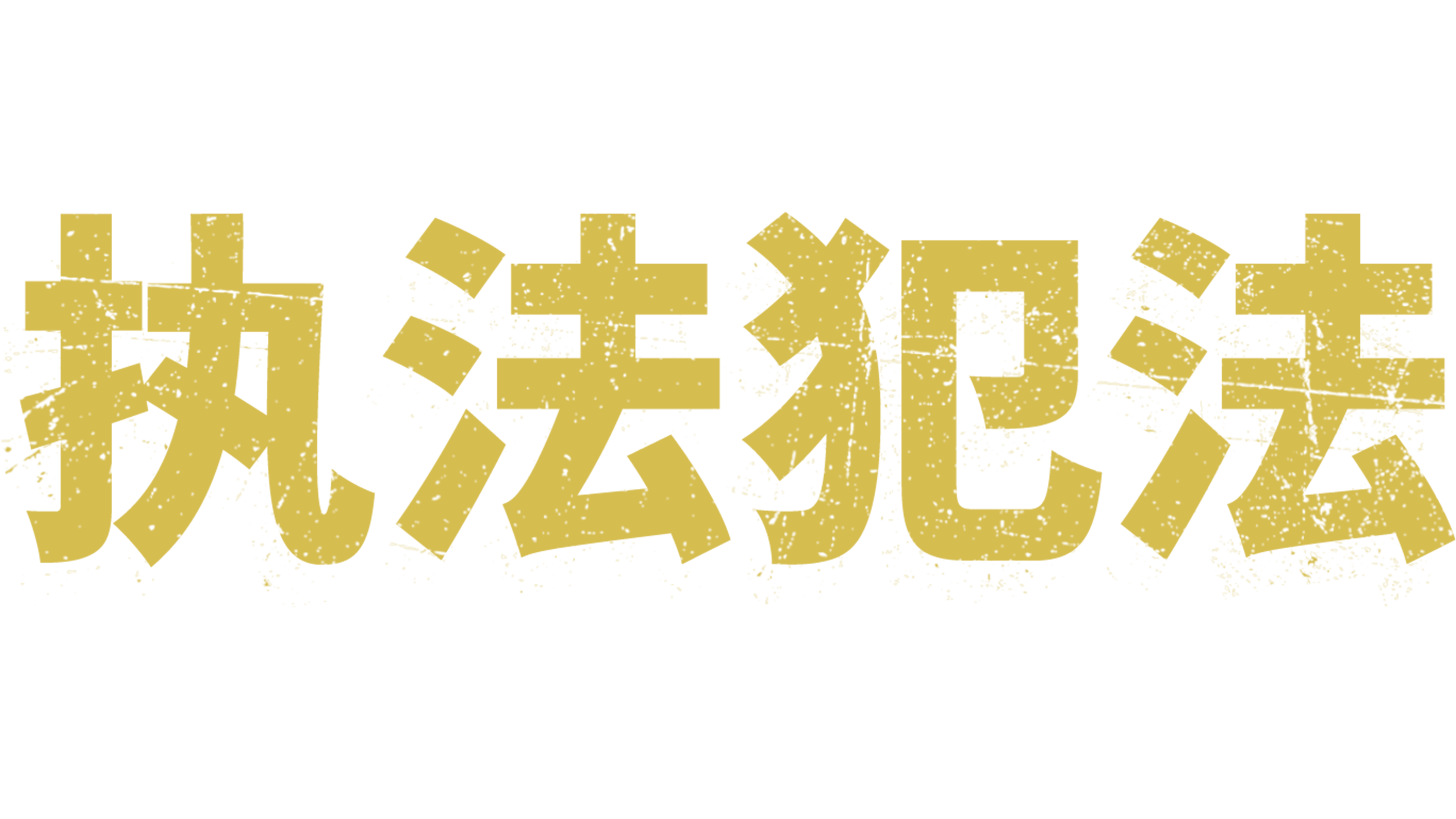 执法犯法