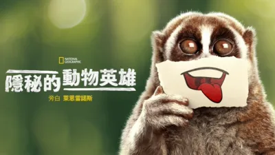 隱秘的動物英雄