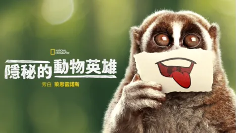 thumbnail - 隱秘的動物英雄