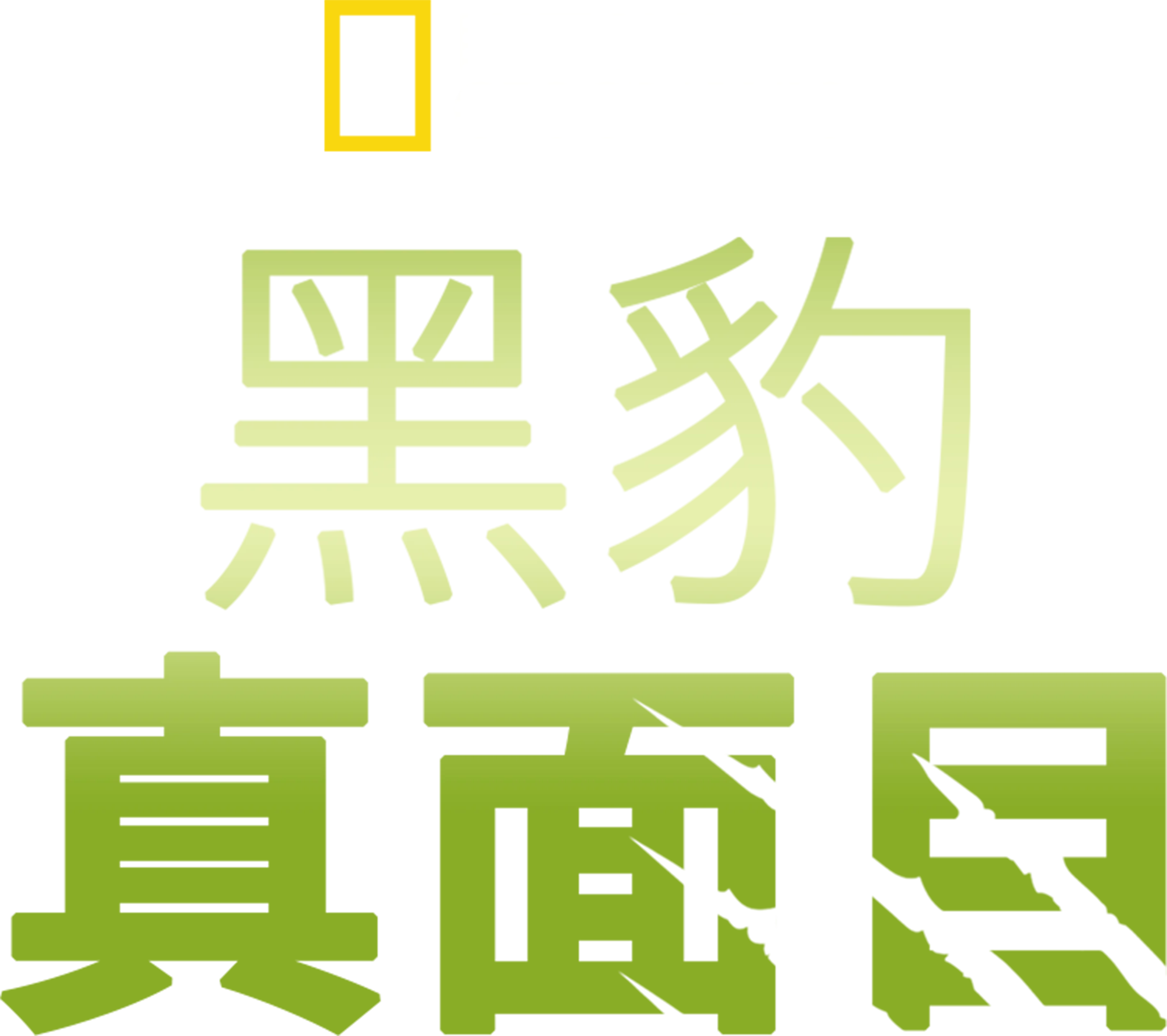 黑豹真面目