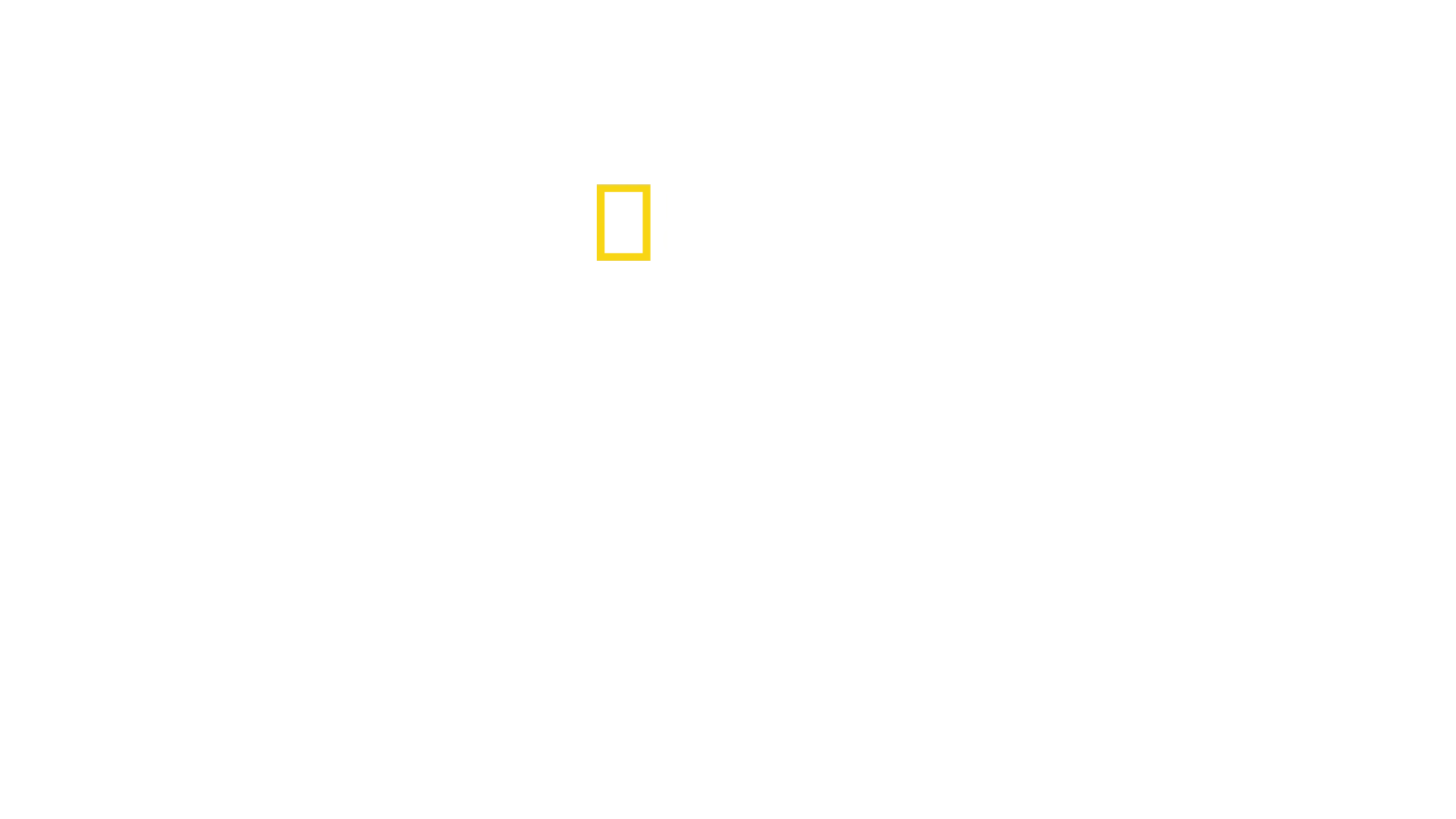 Alamaailma Oy