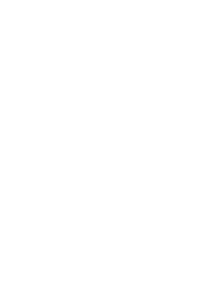 AMERICA'S HEART & SOUL
