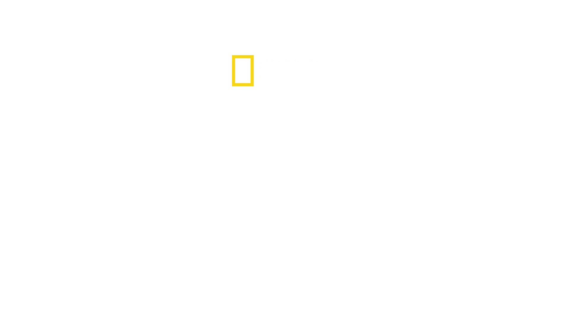 Drugs Inc: Drogen im Visier