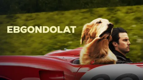 thumbnail - Ebgondolat