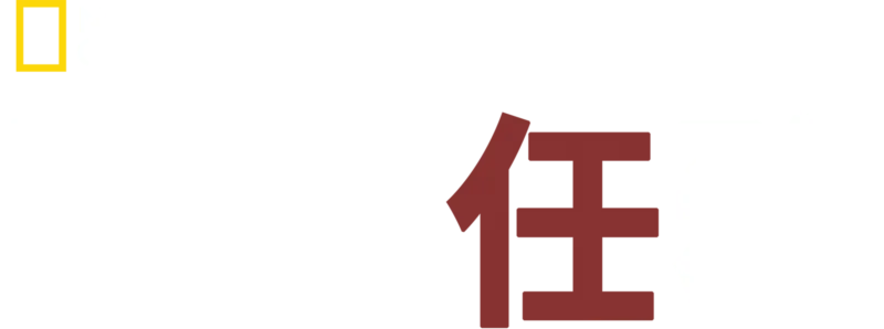 馴狗任務