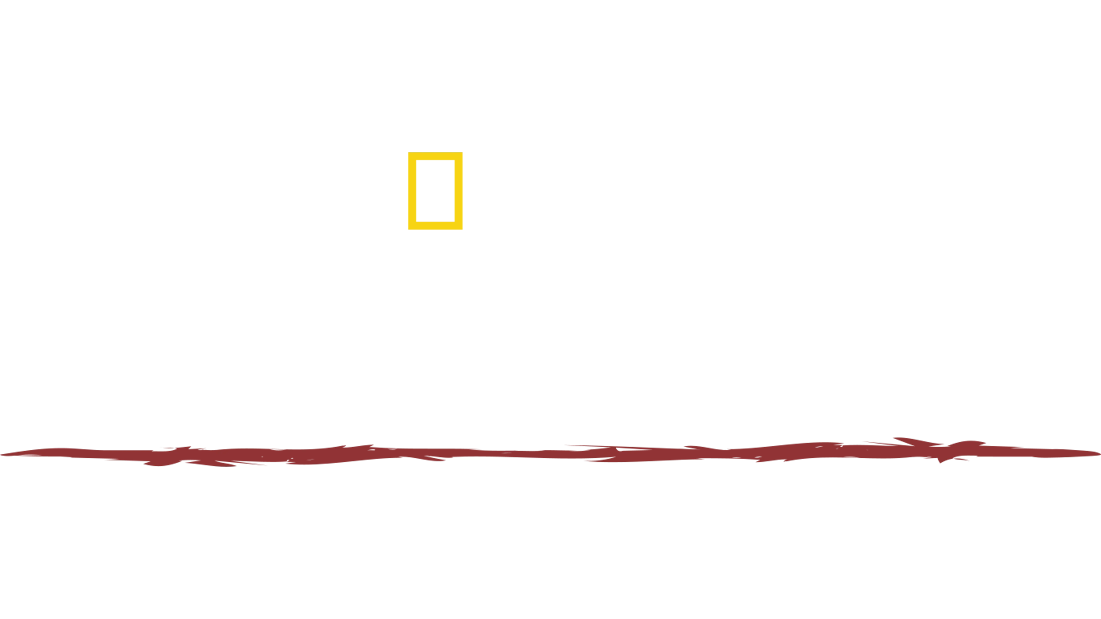 部落求生攻略