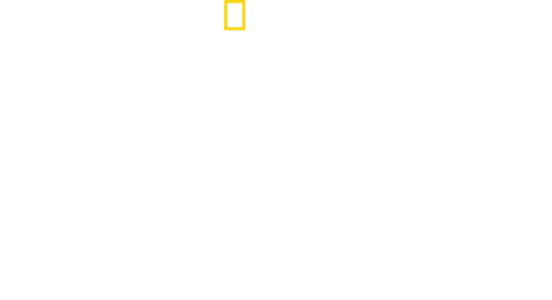 În Inima Disney's Animal Kingdom