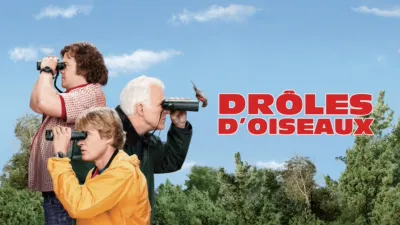 Drôles d'oiseaux