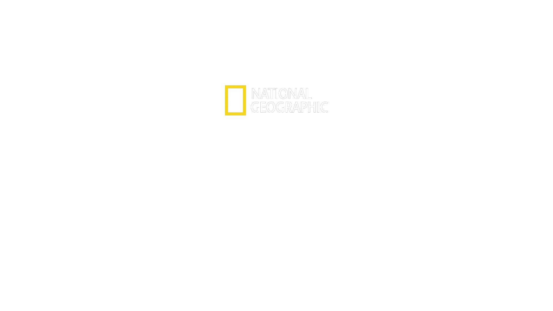 Top Guns: The Next Generation
