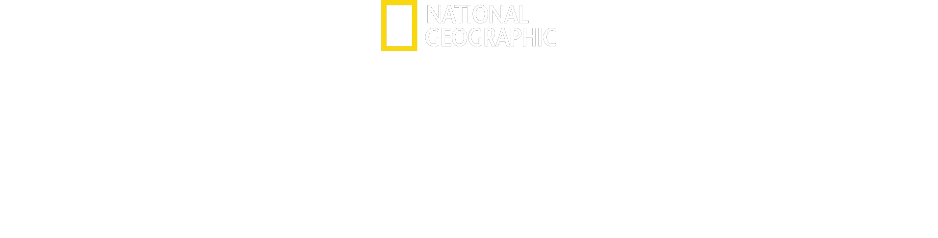 Top Guns: The Next Generation