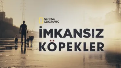 İmkansız Köpekler