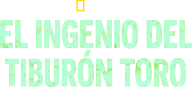 El ingenio del tiburón toro