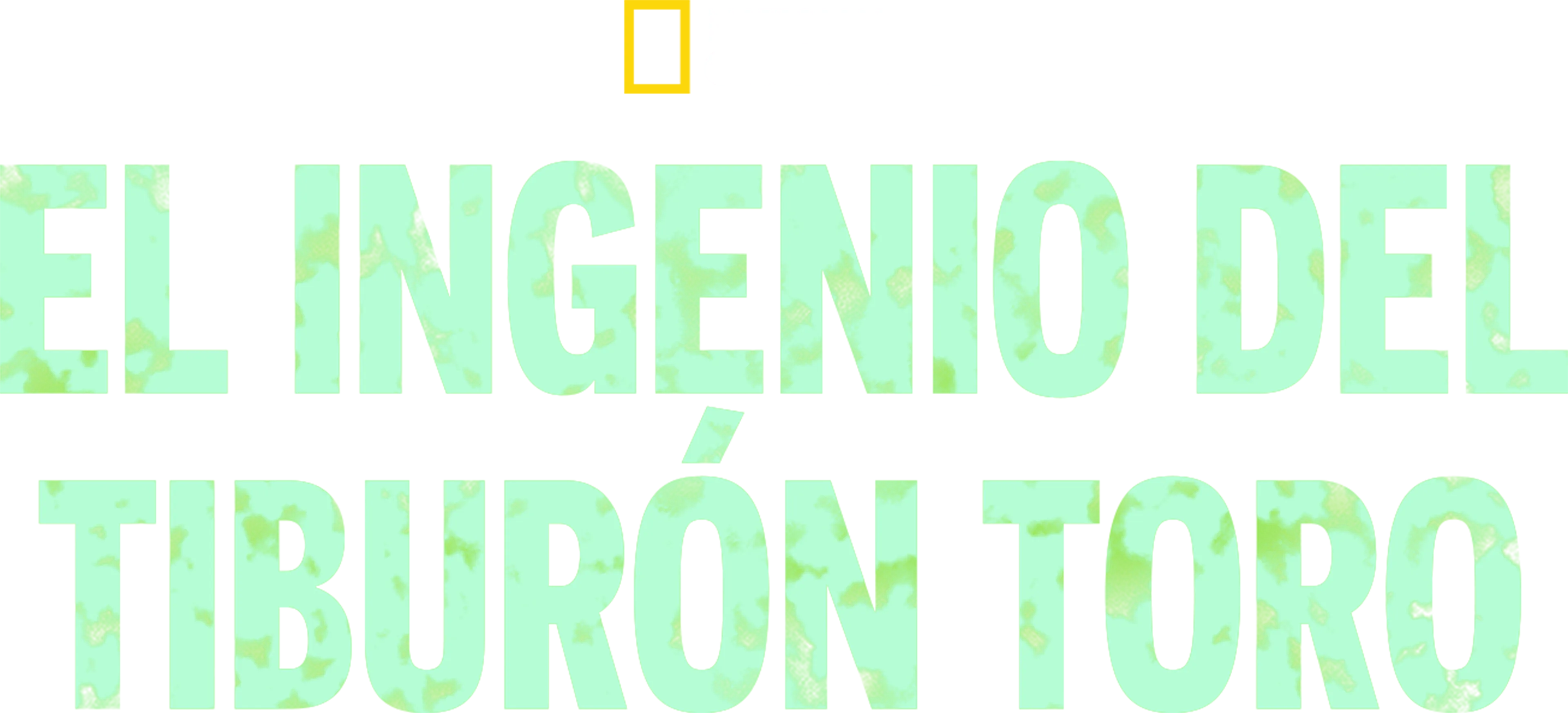 El ingenio del tiburón toro