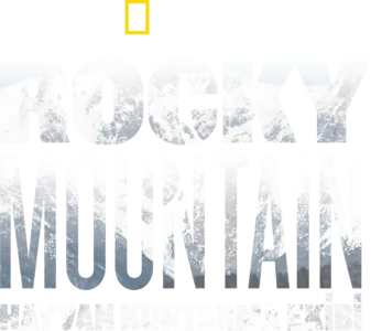 Rocky Mountain Hayvan Kurtarma Ekibi