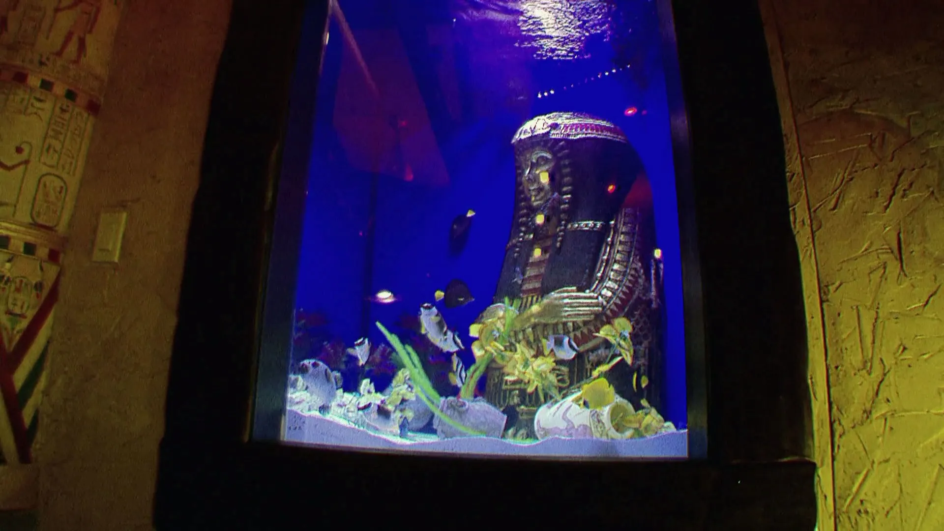 thumbnail - S4:E3 Groovy Sarcophagus, Man