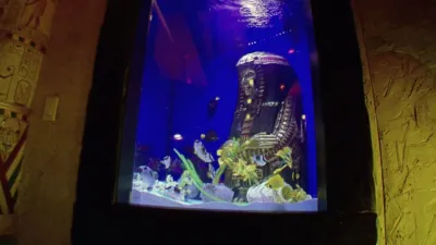 thumbnail - S4:E3 Groovy Sarcophagus, Man