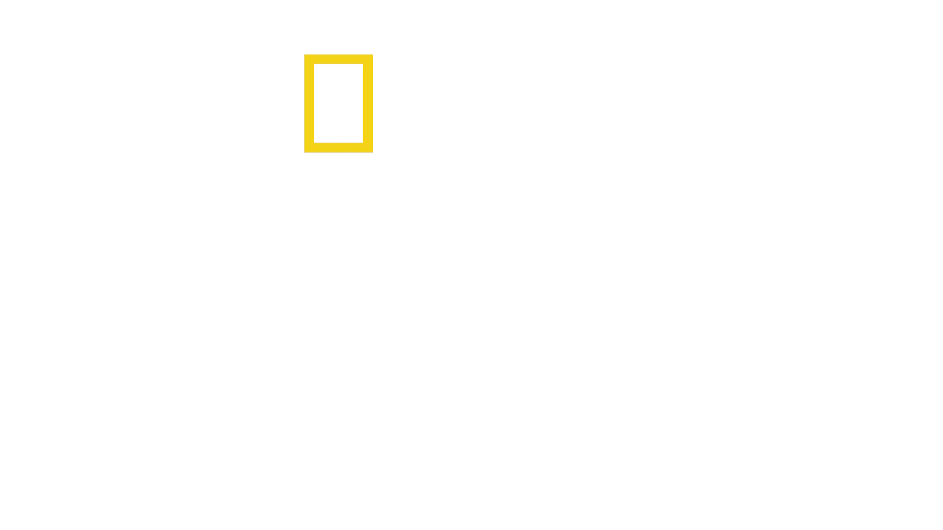 象群之謎