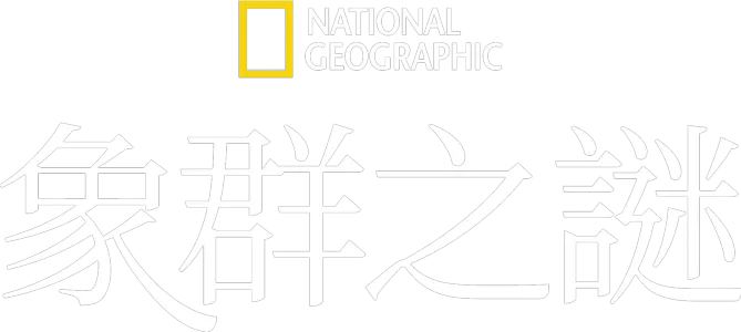 象群之謎