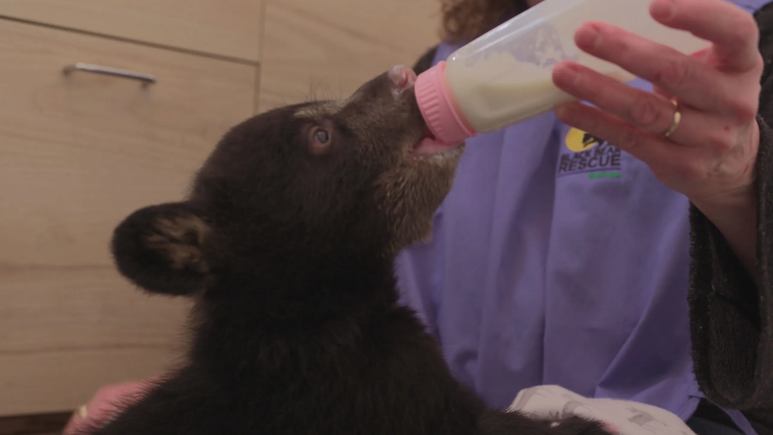 thumbnail - S1:E1 The Littlest Cub
