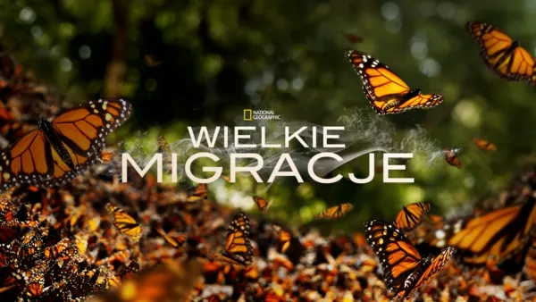 thumbnail - Wielkie migracje