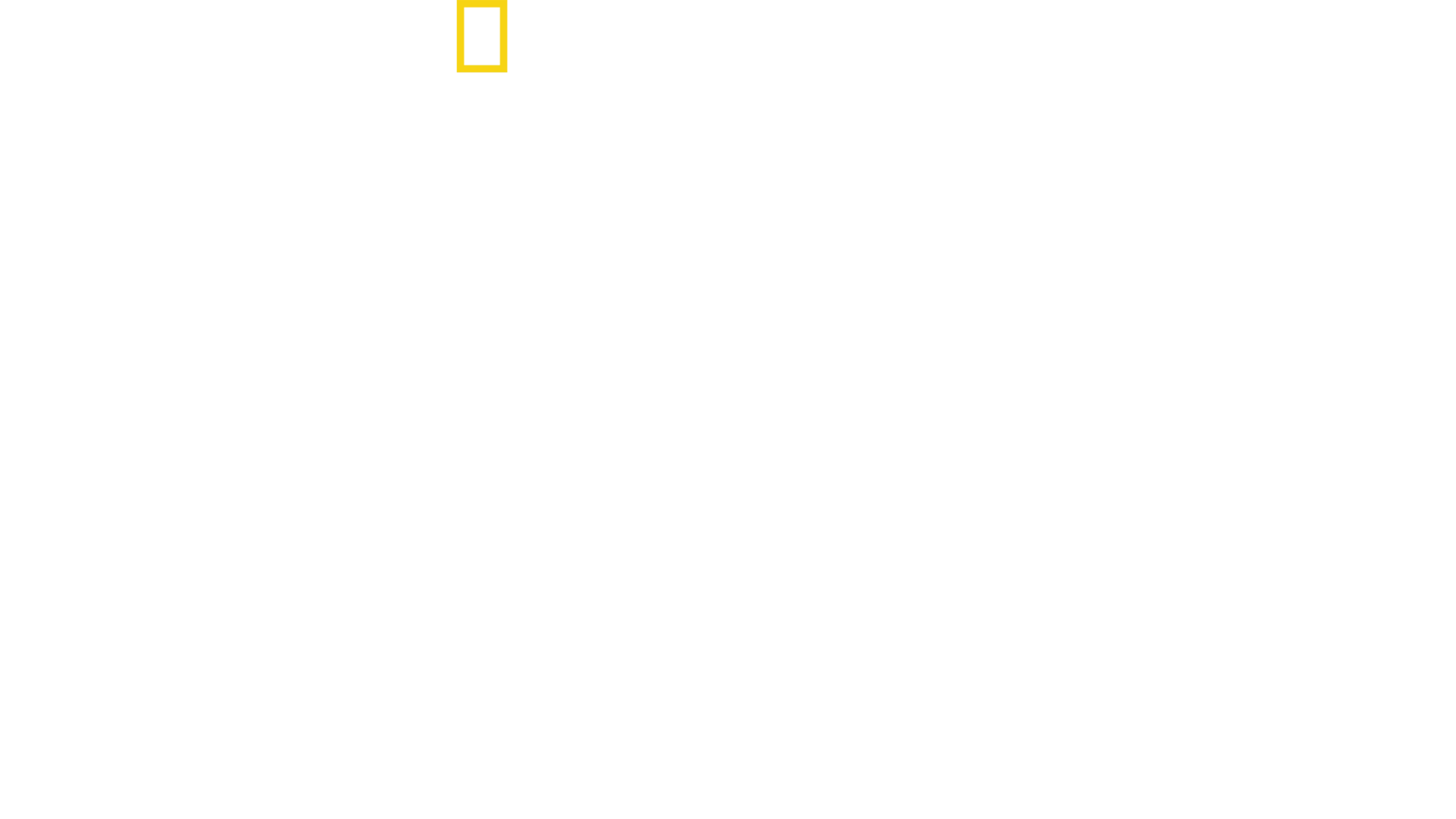 世上最大大白鯊