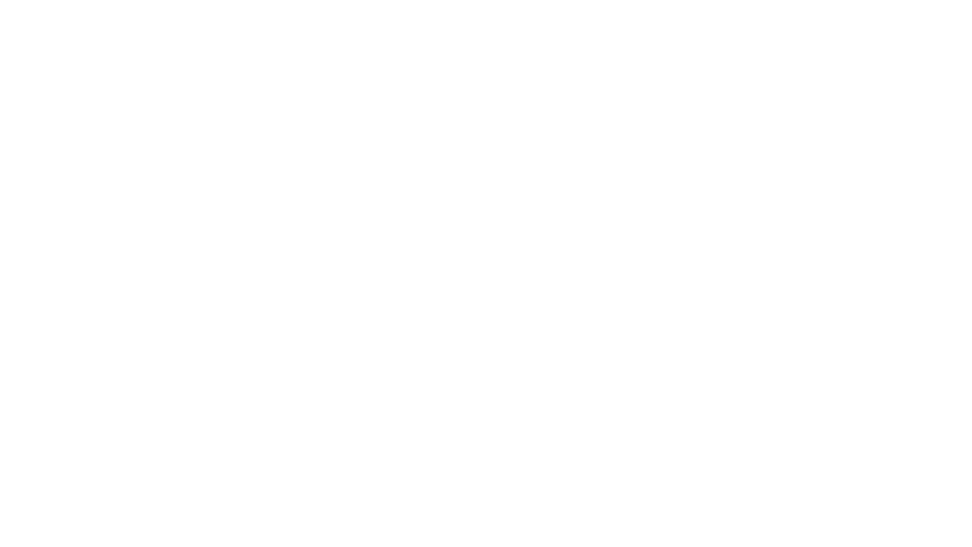 Voo da Fénix