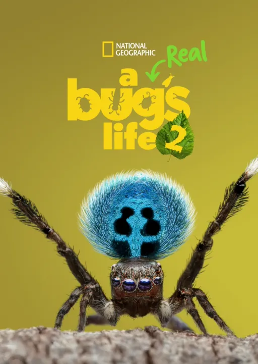 A Real Bug's Life