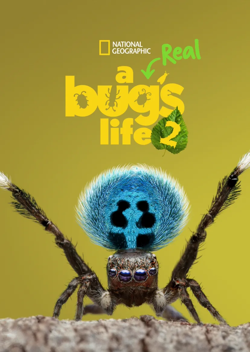 A Real Bug's Life
