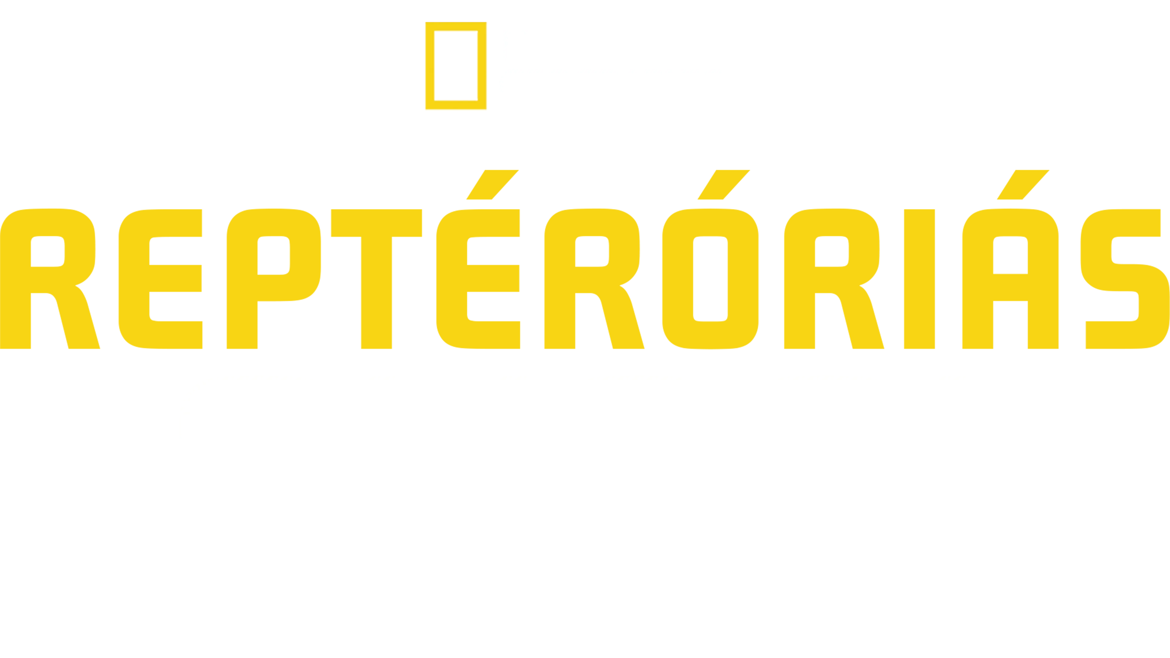 Reptéróriás: Dubai