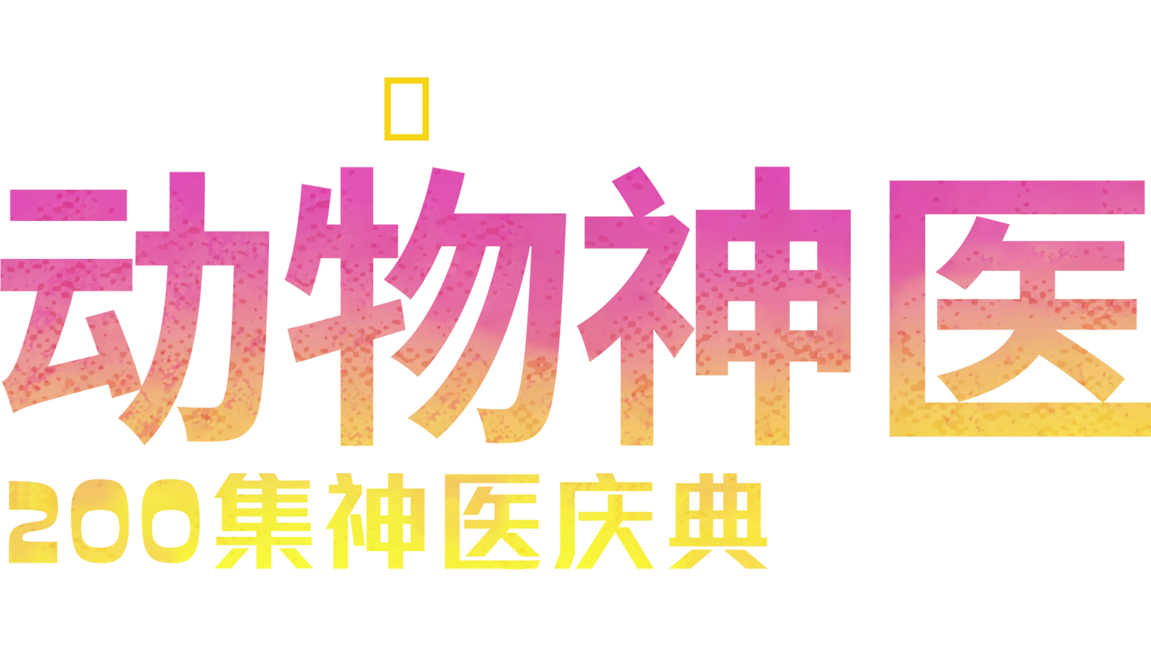 动物神医：200集神医庆典