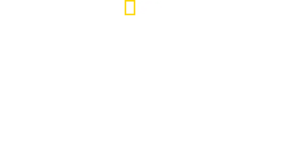 Școala Vieții În Lumea Animalelor