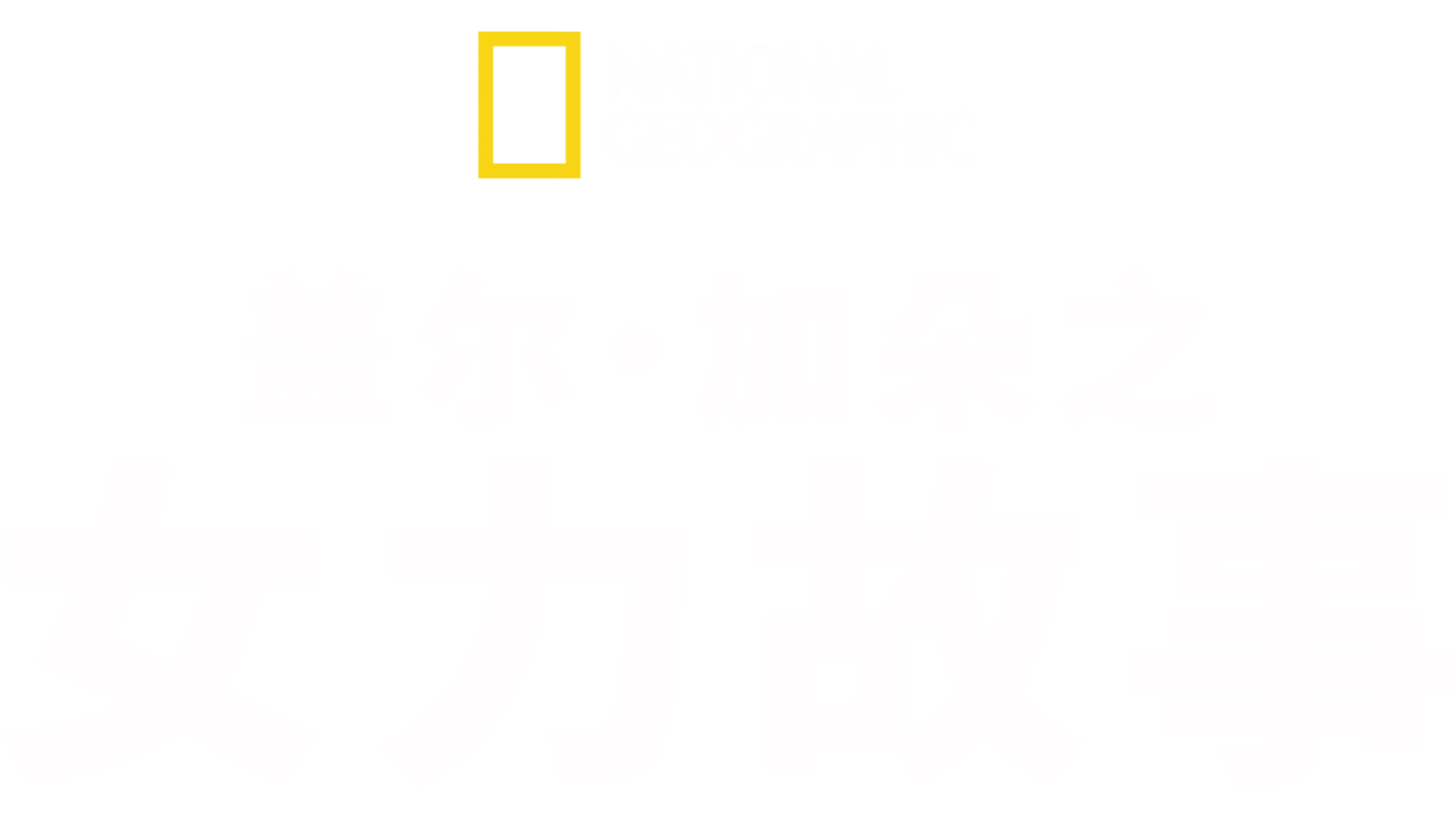 盖尔·加朵之女力故事