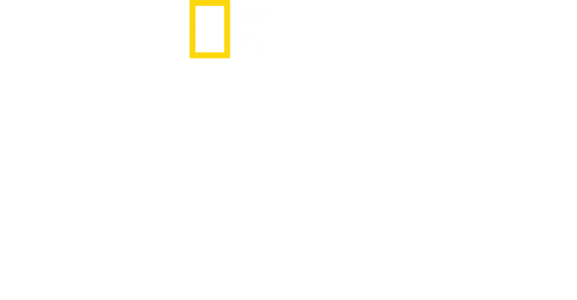 盖尔·加朵之女力故事